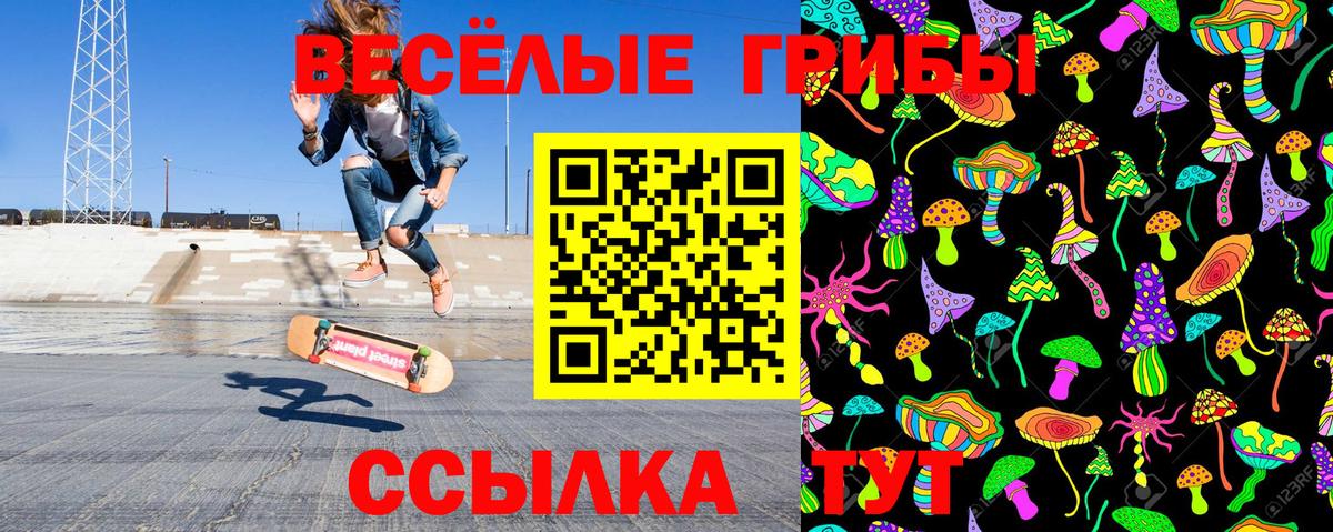 Псилоцибиновые грибы MAGIC MUSHROOMS  Вход с VPN  Ишимбай 