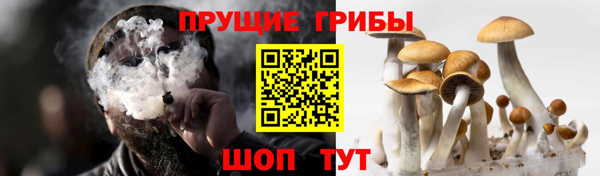 Галлюциногенные грибы ЛСД Ишимбай